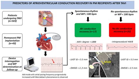 Frontiers Atrioventricular Conduction In Pm Recipients After