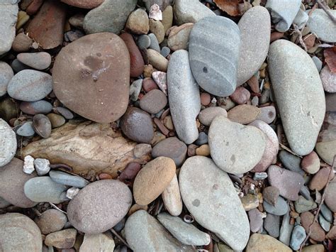 Pebbles. I love your hands. I love how perfect… | by Ashleigh | Medium