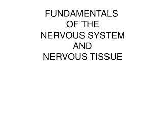 Ppt Fundamentals Of The Nervous System And Nervous Tissue Powerpoint