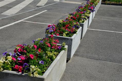 Parterres De Flores Perennes Con Plantaciones Anuales En El Borde Del