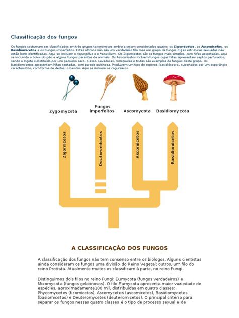 Classificação Dos Fungos