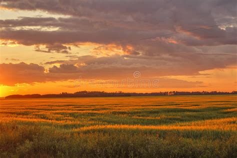 Sunset Over Farmland Stock Image Image Of Blurred Field 32896195