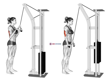 Cable Standing One Arm Tricep Pushdown Overhand Grip Home Gym Review