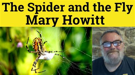 😎 The Spider And The Fly By Mary Howitt Summary The Spider And The Fly By Mary Howitt Analysis