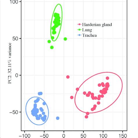 Principal Component Analysis Shows Clear Separation By Tissue Download Scientific Diagram