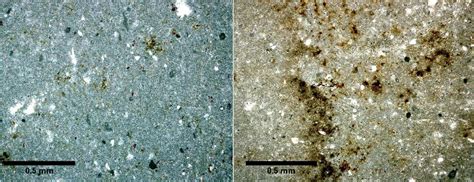 Microphotographs Of Lithofacies A Recrystallized Micritic Limestones