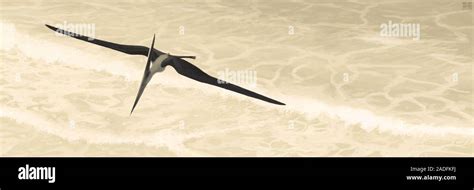 Pteranodon Pteranodon Longiceps Flying Over Water Artwork