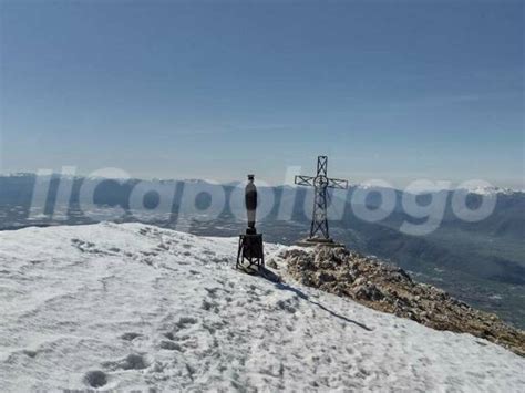 Riserva Orientata Monte Velino Un Piccolo Di Aquila Reale Torna A