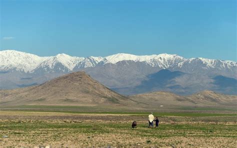 An Afghan Man And His Son Watch Their Sheep Graze In Front Of The Hindu