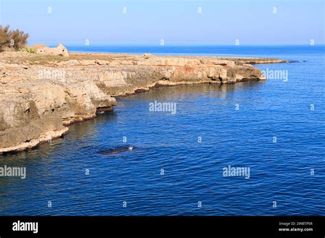 The Most Beautiful Apulian Coast In Italy Cala Corvino Typical