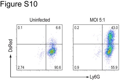 Pdf Figure S10