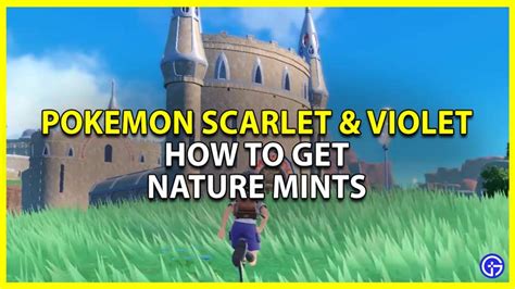 How To Get Nature Mints In Pokemon Scarlet Violet