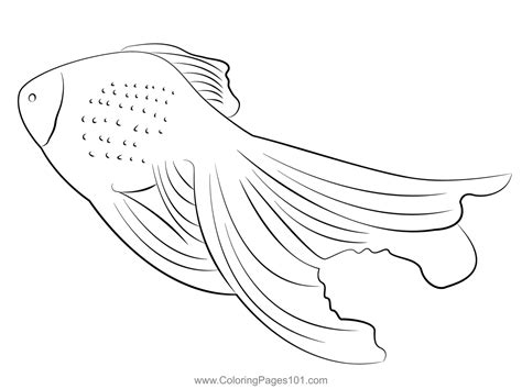 Veiltail Goldfish Coloring Page For Kids Free Goldfishes Printable