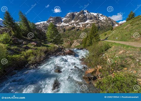 River Stream In The Mountains Stelvio National Park At Clear Sky