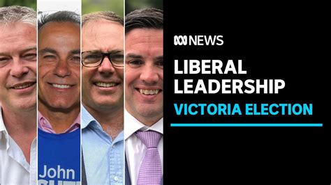 Vic Liberal Party leader contenders emerge as Andrews government goes ...