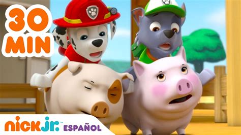 PAW Patrol Patrulla De Cachorros 30 Minutos De Paw Patrol Salvando