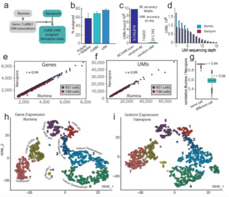 Single Cell Transcriptome Sequencing