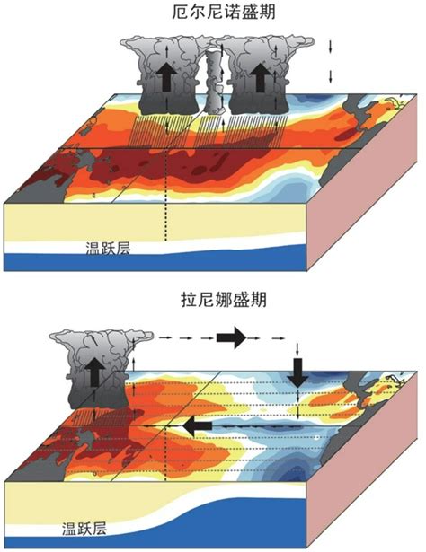 官宣！拉尼娜事件将形成！今冬我国会偏冷吗？手机新浪网
