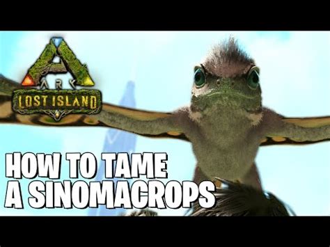 HOW TO TAME A SINOMACROPS IN ARK SURVIVAL LOST ISLAND YouTube