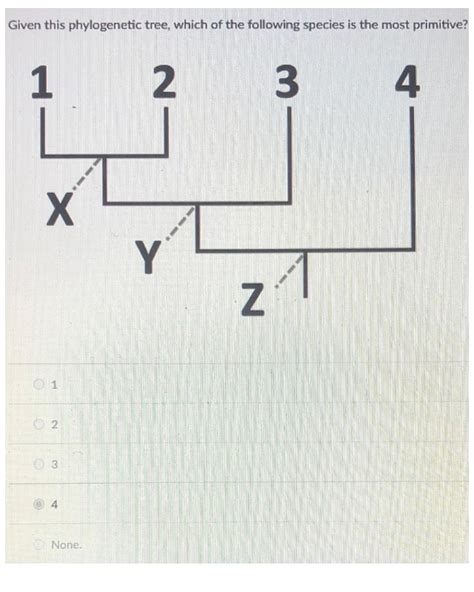 Solved Given This Phylogenetic Tree Which Of The Following