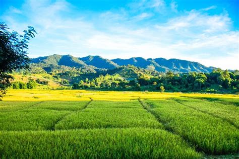 Kenampakan Buatan Di Indonesia Dari Waduk Hingga Sarana Prasarana