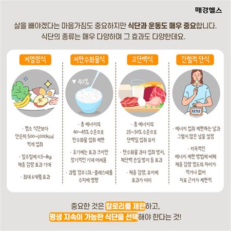 살 빼면 된다 No평생 관리 필요한 비만 식단은 어떻게