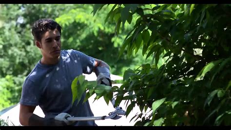 Amanda Fox L Amante Di Cazzi Duri Free Porn Xhamster