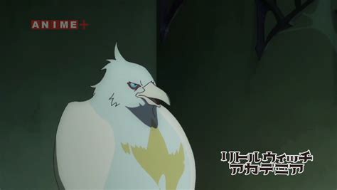 알코르 (アルコル)