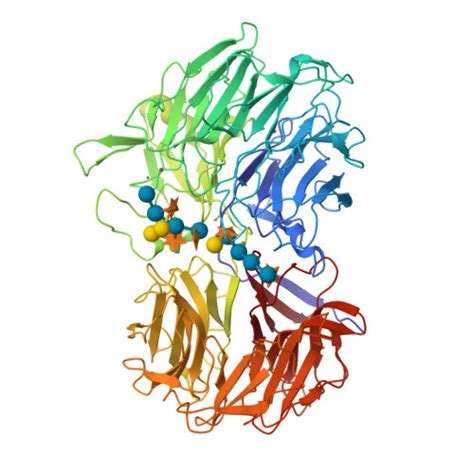 Rcsb Pdb Fks Unraveling The First Step Of Xyloglucan Degradation By