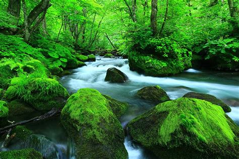 絶景の渓谷・渓流30選！日本の綺麗な川で夏の行楽や秋の紅葉狩りを楽しもう 【楽天トラベル】