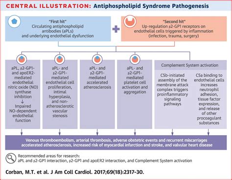 Stroke Medicine For Stroke Physicians And Neurologists