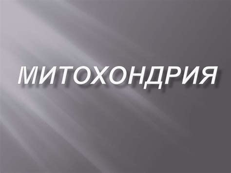 Митохондрия. ДНК митохондрий - презентация онлайн