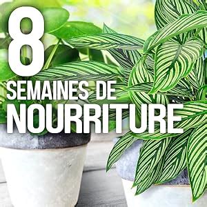 Fertilig Ne Fbpv Engrais B Tonnets Nutritifs X Pour Des Plantes