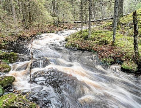 Järvien vedet nousevat Tällainen on ennuste Pirkanmaan