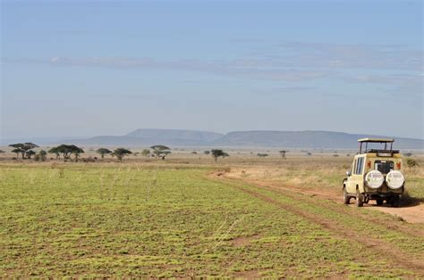 5 Days Luxury Safari To Tarangire Serengeti And Ngorongoro Crater