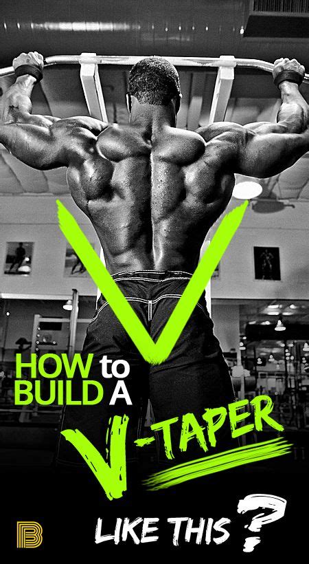 Best Exercise To Build A V Taper Workout Your Back Muscles Upper