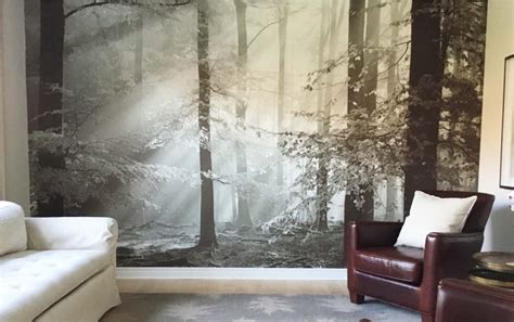 Wall Murals For Living Room Inspiring Ideas Muralunique