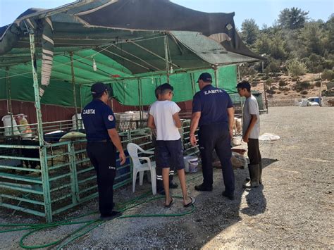 Bodrumda kurban kesim yerleri bayrama hazır Bodrum Kapak Haber