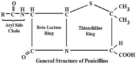 General Structure Of Penicillins However Another Beta Lactam