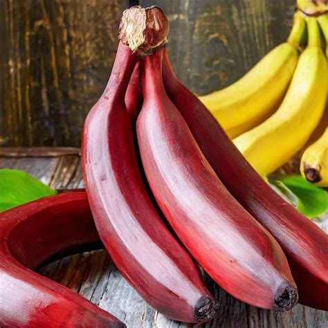 Red Bananas Facts Health Benefits And Ways To Use Them