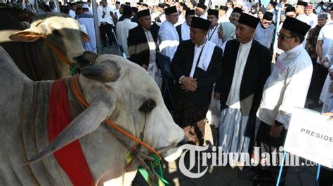 Jumlah Hewan Kurban Di Jawa Timur Meningkat Drastis Di Hari Raya Idul