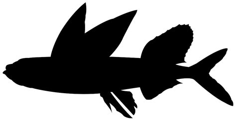 Flying Fish Silhouette | Free vector silhouettes