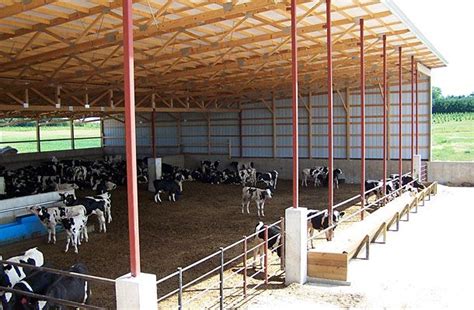 Dairy Farming Shed Design Farm House