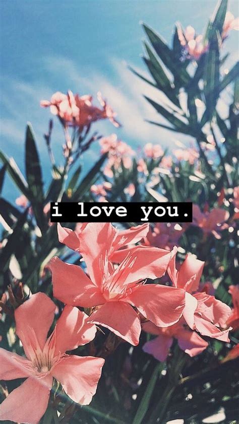 I Love You Backgrounds Wallpapers