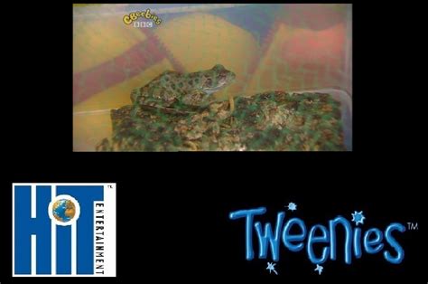 Opening And Closing To Tweenies Lost Frog 2005 Hit Entertainment Vhs Custom Time Warner