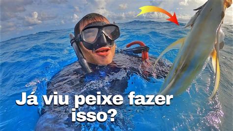 NUNCA TINHA VISTO OS PEIXES FAZENDO ISSO PESCARIA MUITO PEIXE E