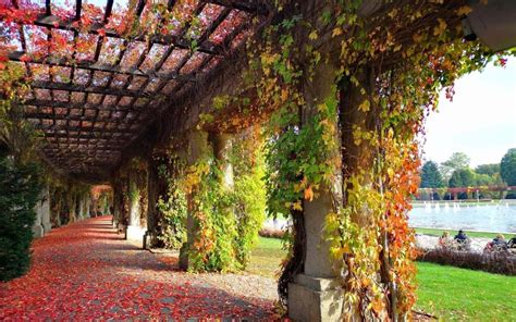 Pergola Und Jahrhunderthalle Breslau Visitbreslau De