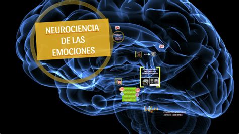 Neurociencia De Las Emociones By Geno Pelaez On Prezi