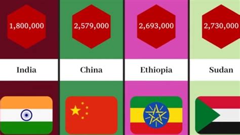 Homeless Population From Different Countries Homelessness By Country