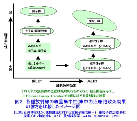 陽子線によるがんの治療 08 02 02 14 Atomica